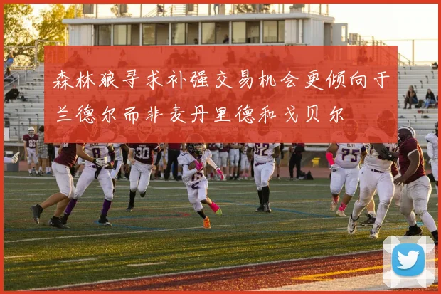 森林狼寻求补强交易机会更倾向于兰德尔而非麦丹里德和戈贝尔
